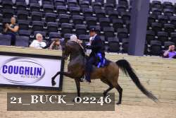 21_BUCK_02246 proof