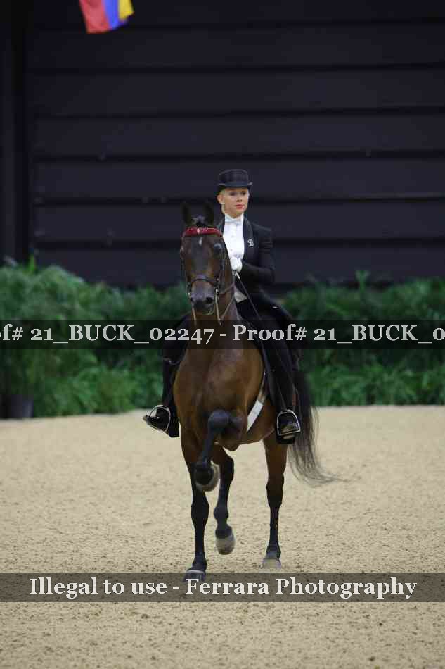 Proof 21_BUCK_02247