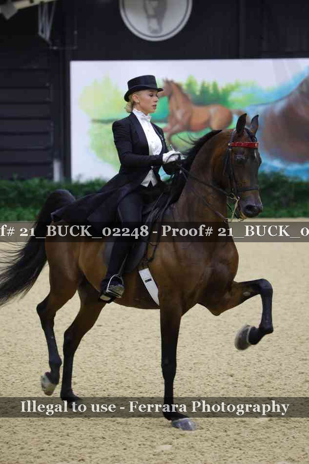 Proof 21_BUCK_02248