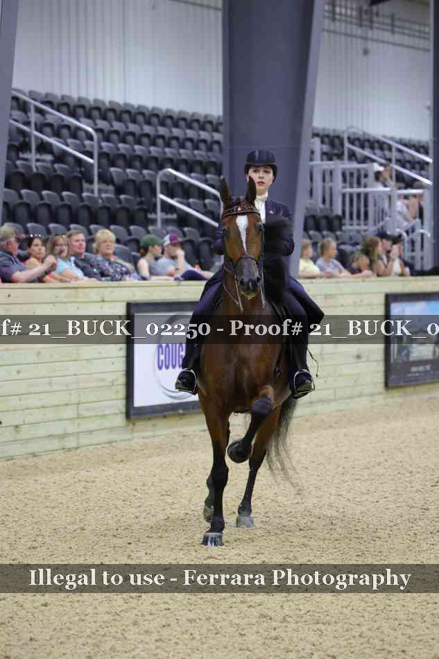 Proof 21_BUCK_02250