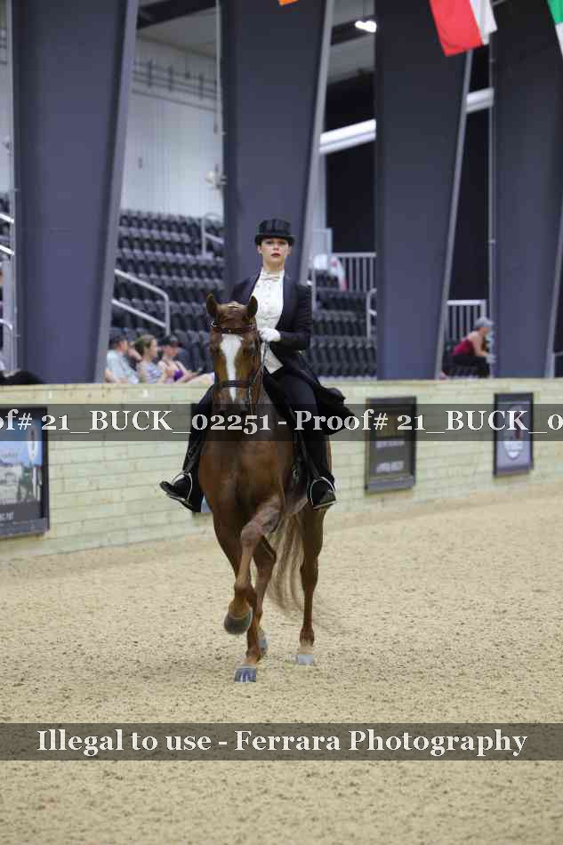 Proof 21_BUCK_02251