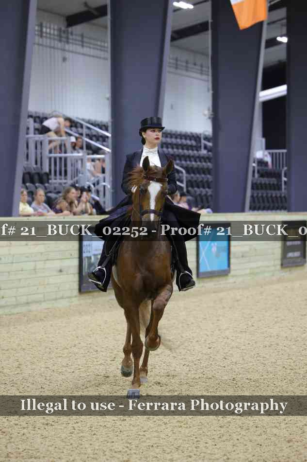 Proof 21_BUCK_02252