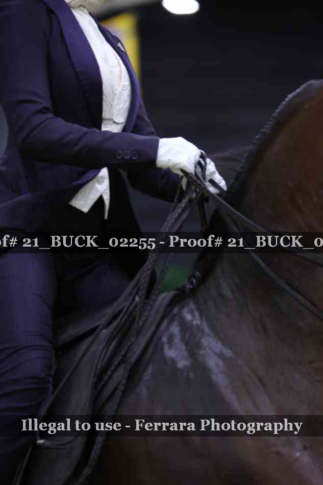 Proof 21_BUCK_02255