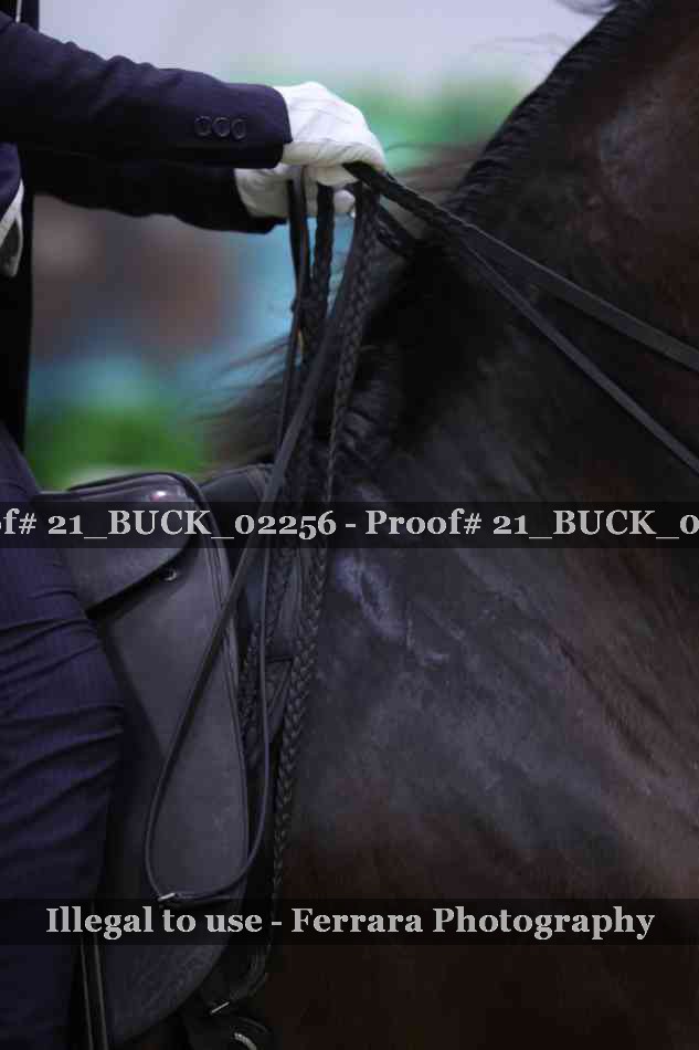 Proof 21_BUCK_02256