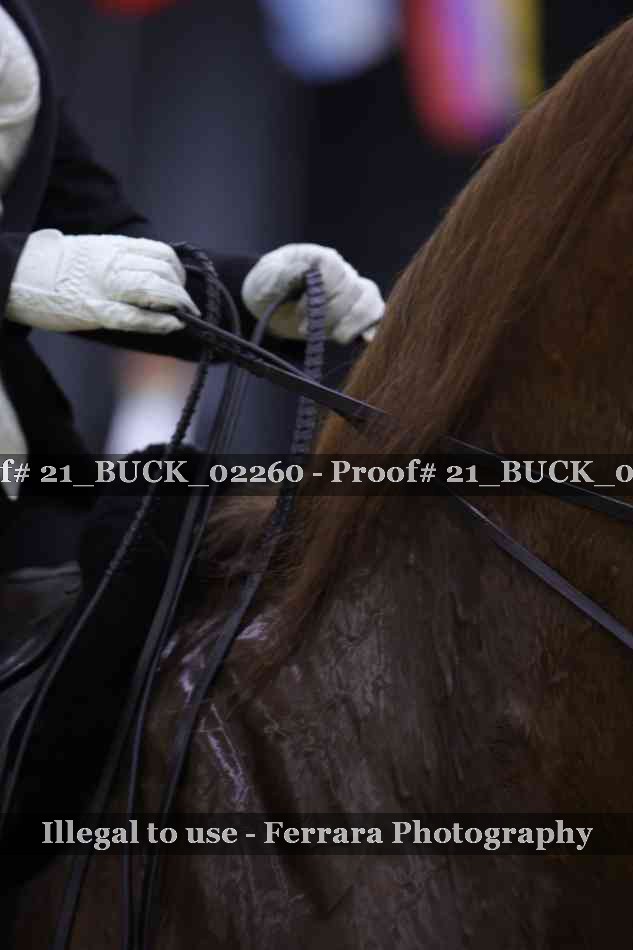 Proof 21_BUCK_02260