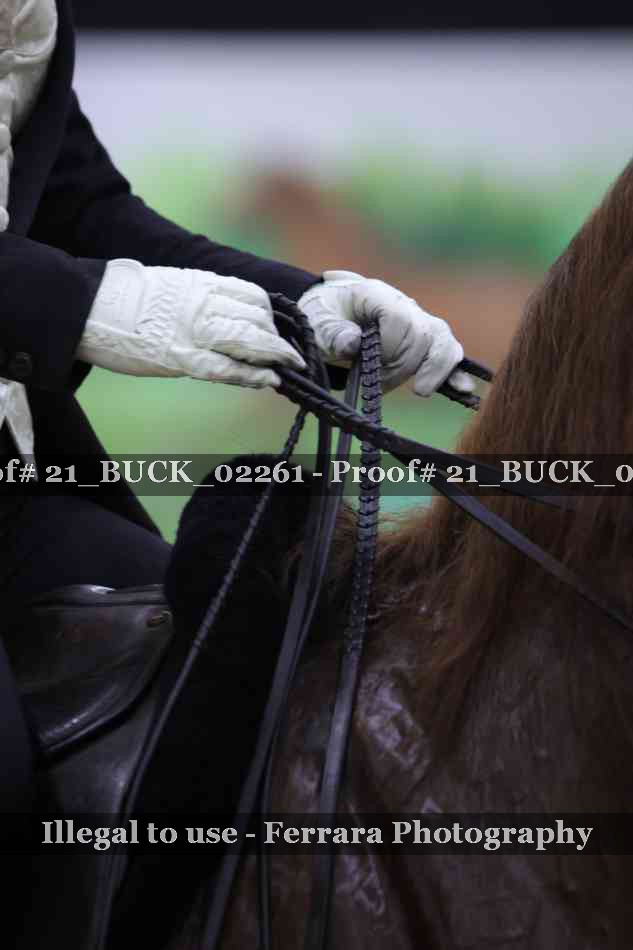Proof 21_BUCK_02261