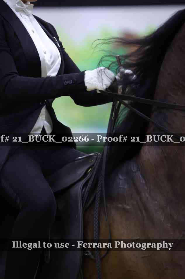 Proof 21_BUCK_02266