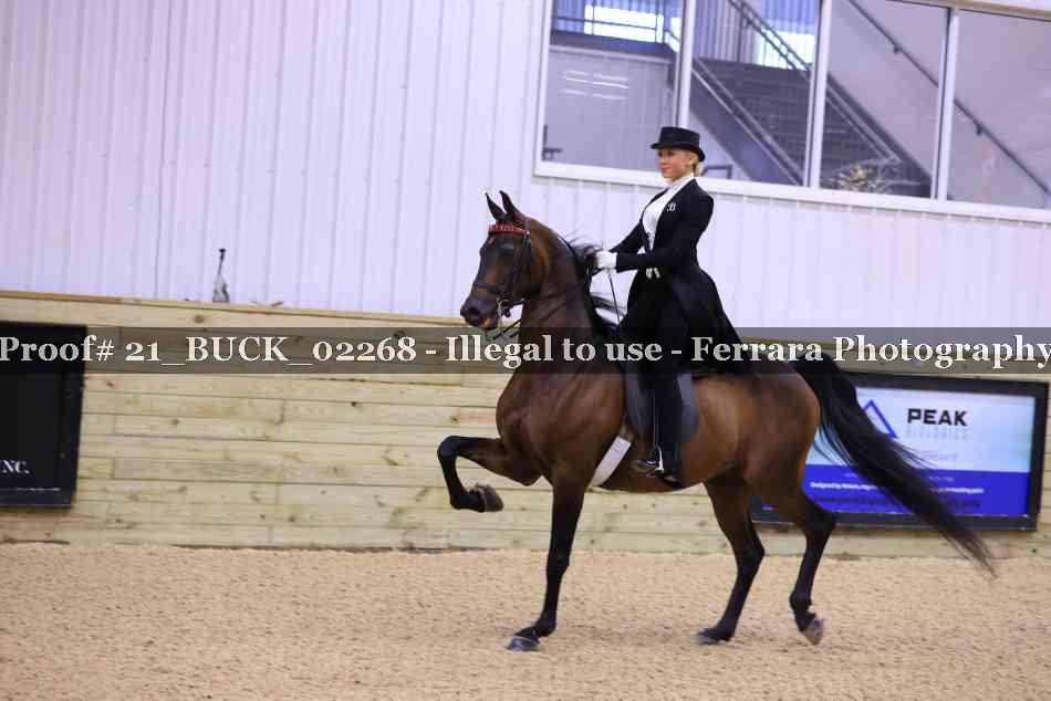 Proof 21_BUCK_02268