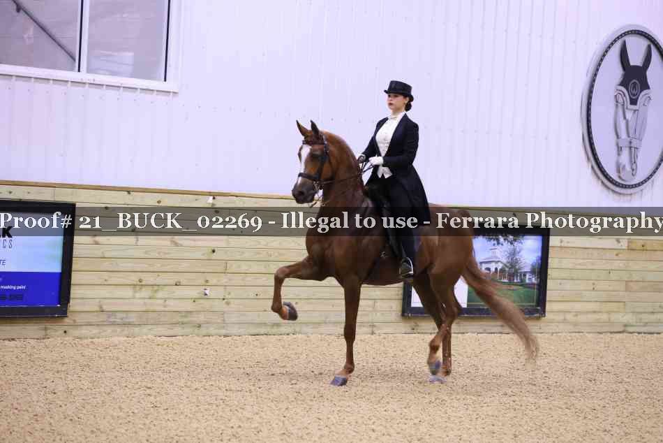 Proof 21_BUCK_02269