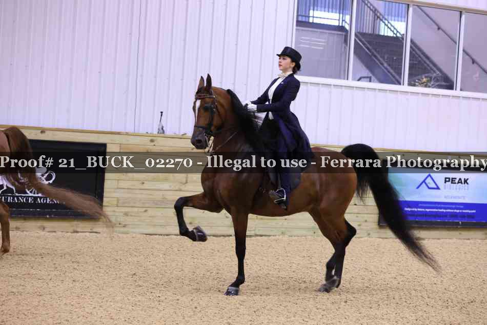 Proof 21_BUCK_02270