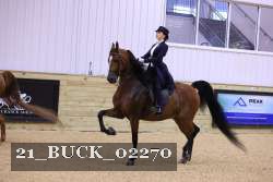 21_BUCK_02270 proof