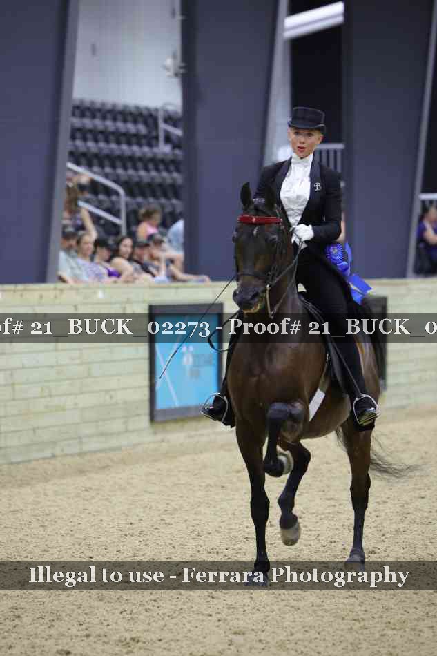 Proof 21_BUCK_02273