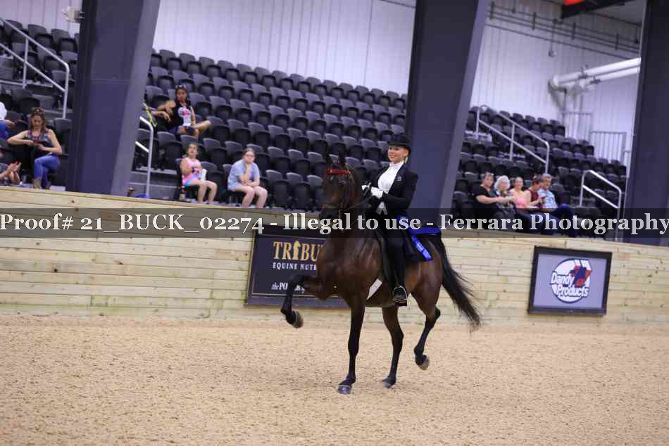 Proof 21_BUCK_02274