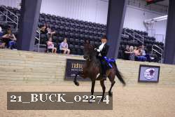 21_BUCK_02274 proof