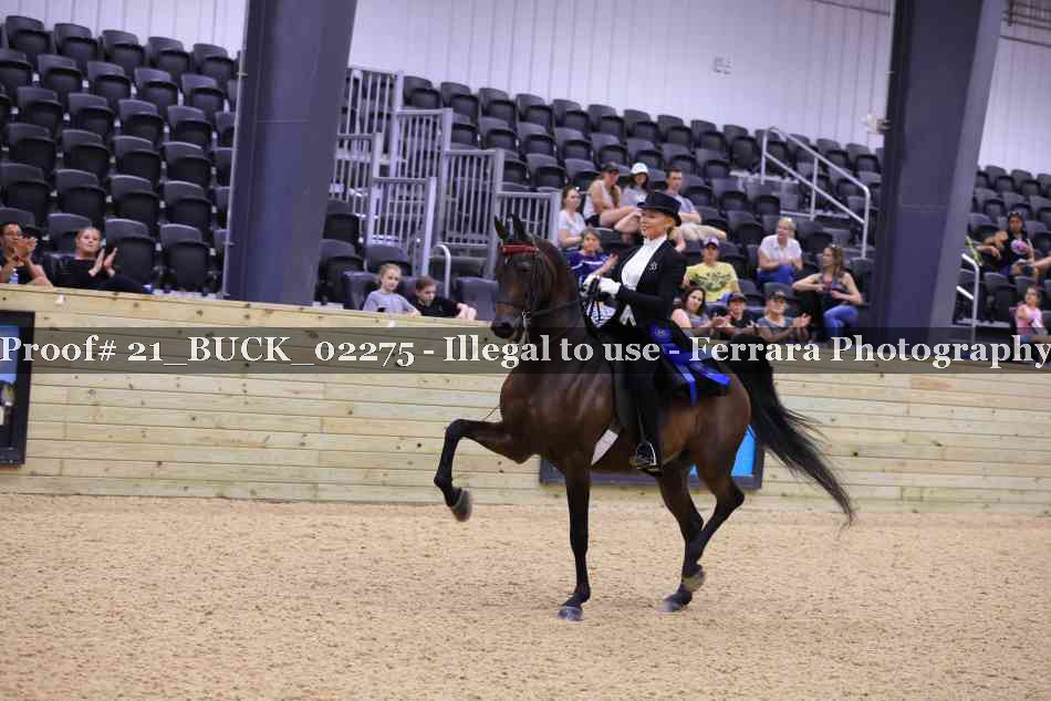 Proof 21_BUCK_02275