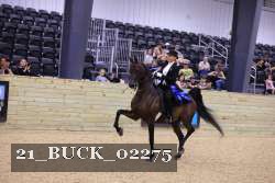 21_BUCK_02275 proof