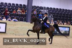 21_BUCK_02276 proof