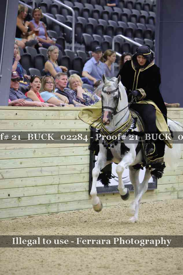 Proof 21_BUCK_02284