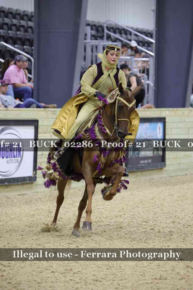 Proof 21_BUCK_02286