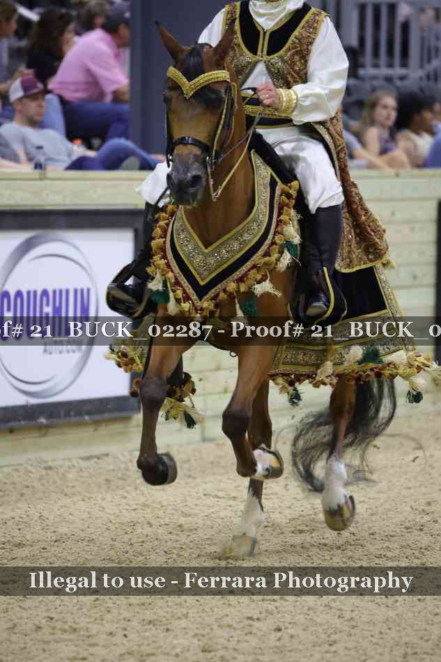 Proof 21_BUCK_02287