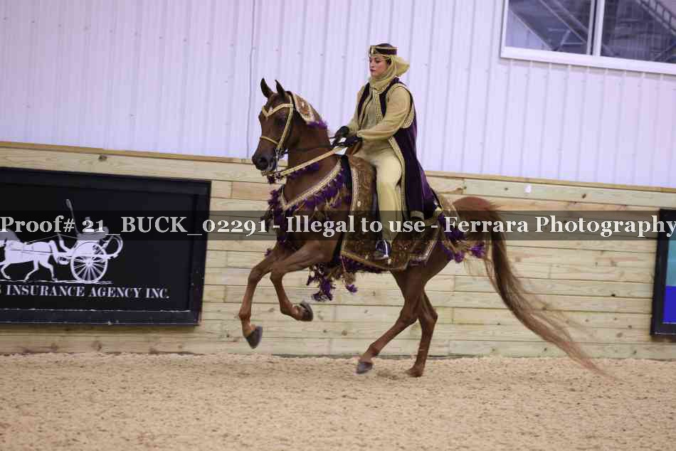 Proof 21_BUCK_02291