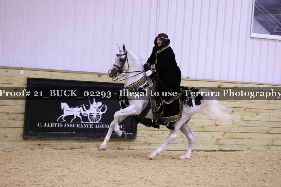 Proof 21_BUCK_02293