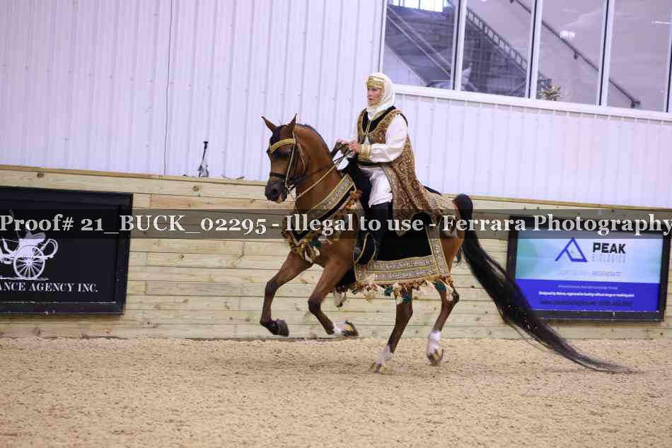 Proof 21_BUCK_02295