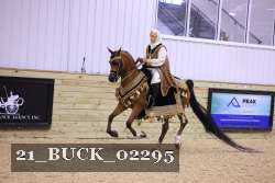 21_BUCK_02295 proof