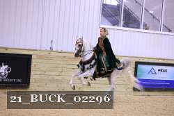 21_BUCK_02296 proof