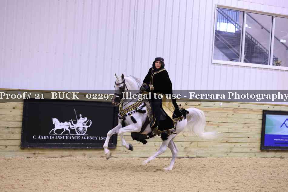 Proof 21_BUCK_02297