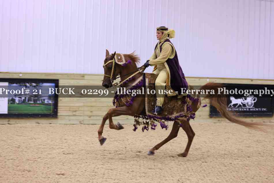 Proof 21_BUCK_02299
