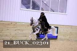 21_BUCK_02301 proof
