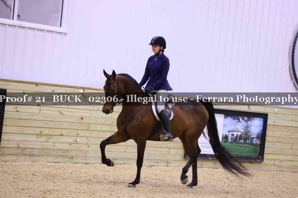 Proof 21_BUCK_02306