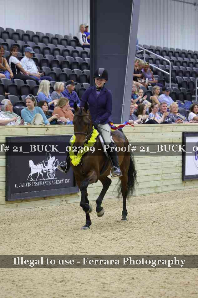 Proof 21_BUCK_02309