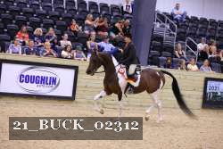 21_BUCK_02312 proof