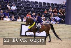 21_BUCK_02315 proof