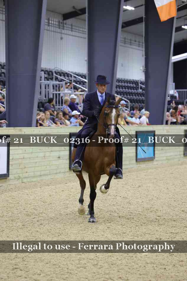 Proof 21_BUCK_02316