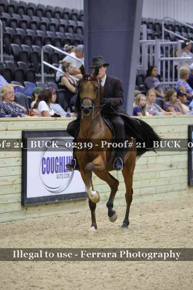 Proof 21_BUCK_02319