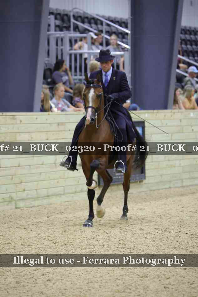 Proof 21_BUCK_02320
