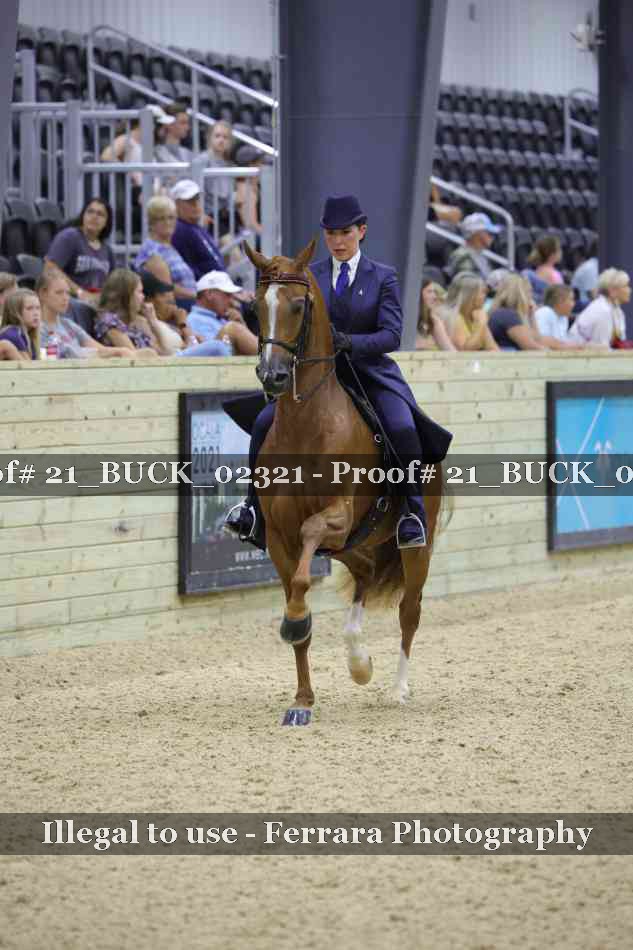 Proof 21_BUCK_02321