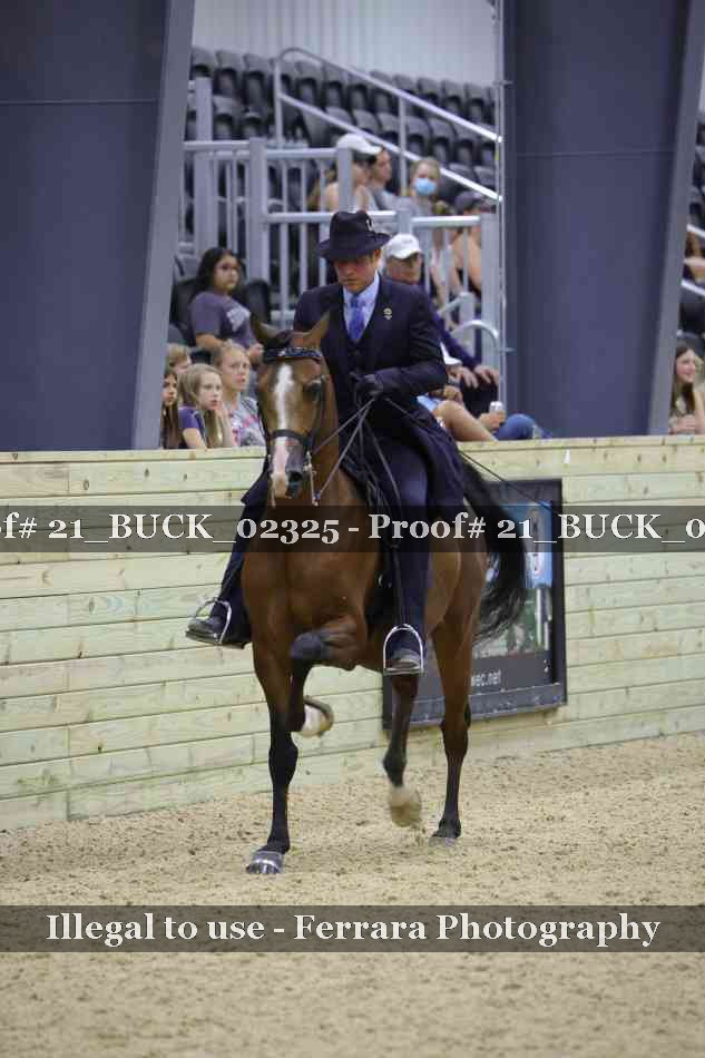Proof 21_BUCK_02325