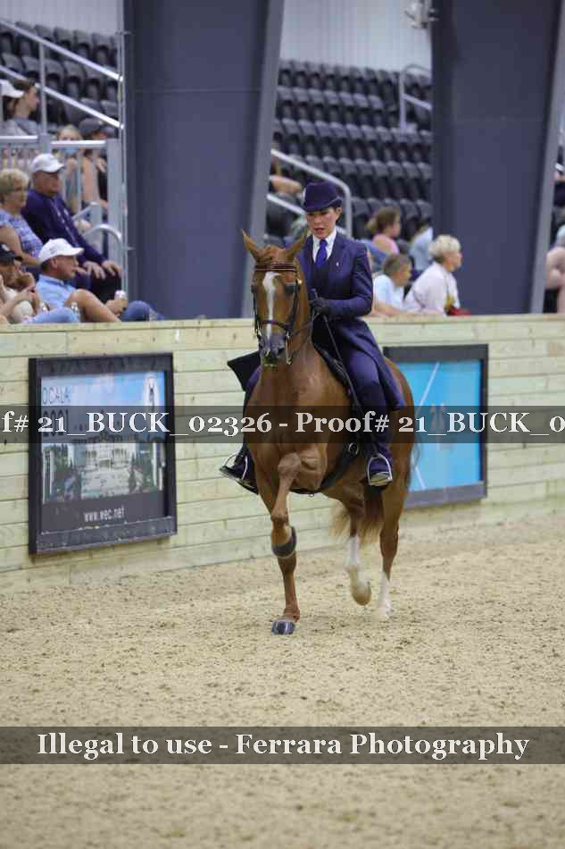 Proof 21_BUCK_02326