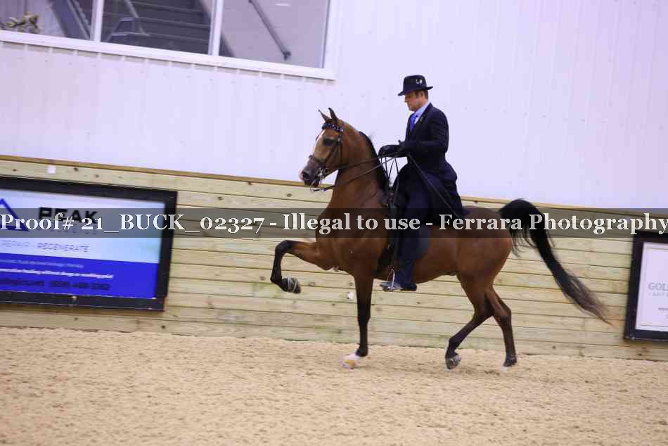 Proof 21_BUCK_02327