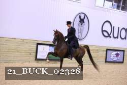 21_BUCK_02328 proof