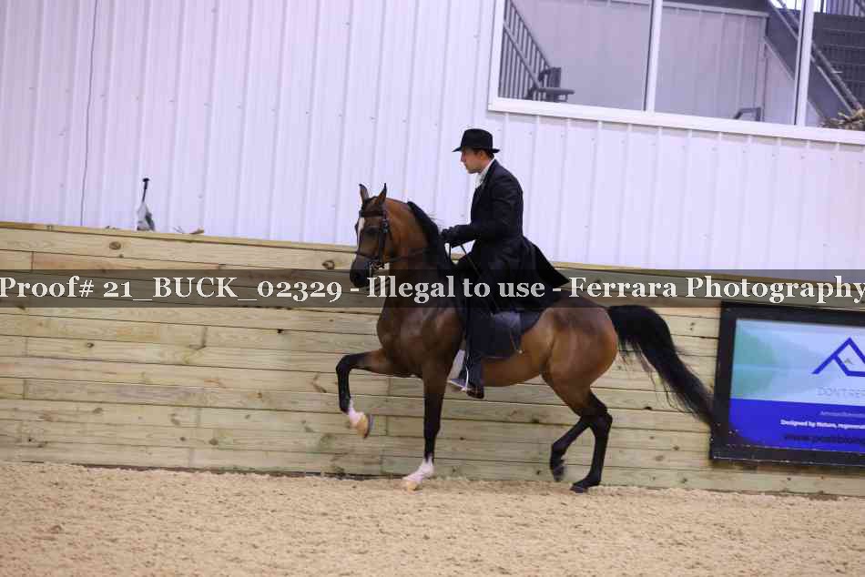 Proof 21_BUCK_02329