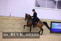 21_BUCK_02329 proof