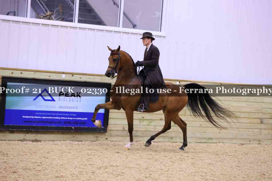 Proof 21_BUCK_02330