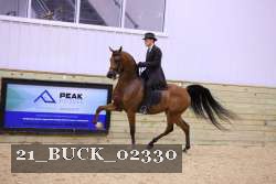 21_BUCK_02330 proof