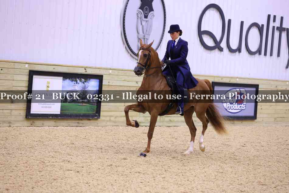 Proof 21_BUCK_02331