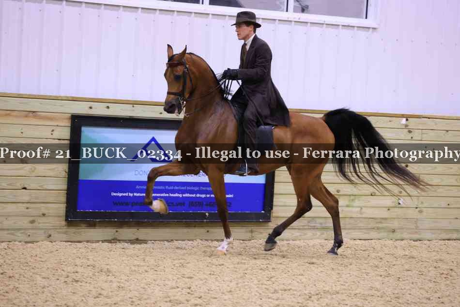 Proof 21_BUCK_02334
